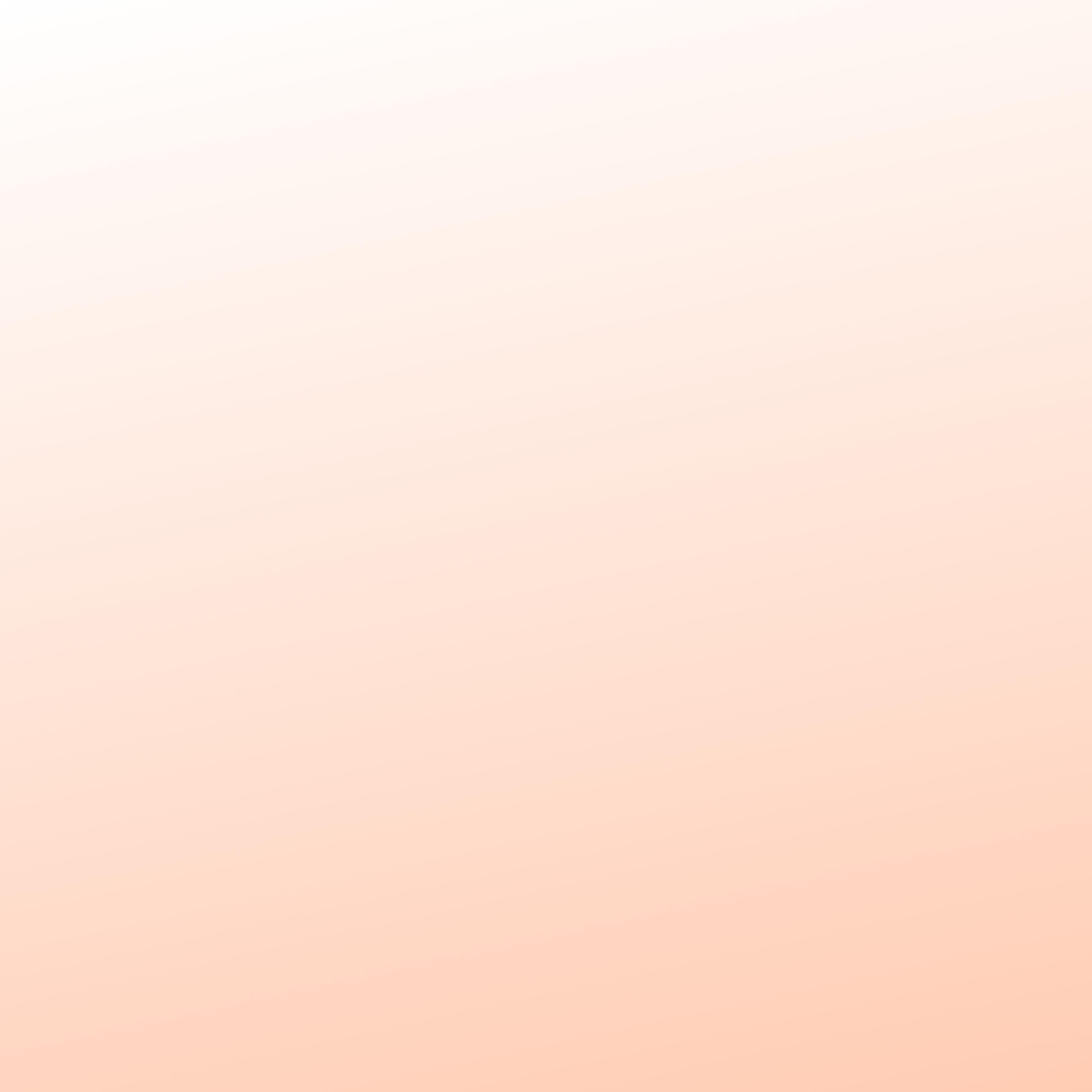 Header Decorative Image